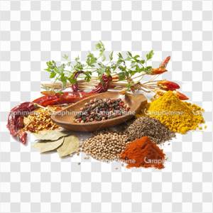 ادویه و چاشنی